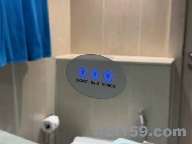 バスルームの照明スイッチ