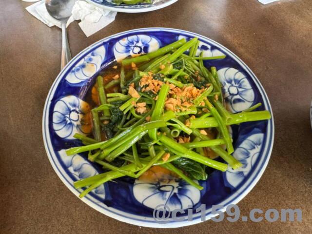 モーニンググローリー