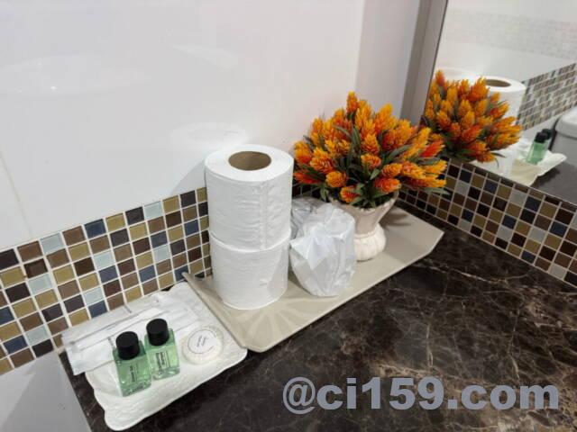 Trebel Service Apartmentのアメニティ